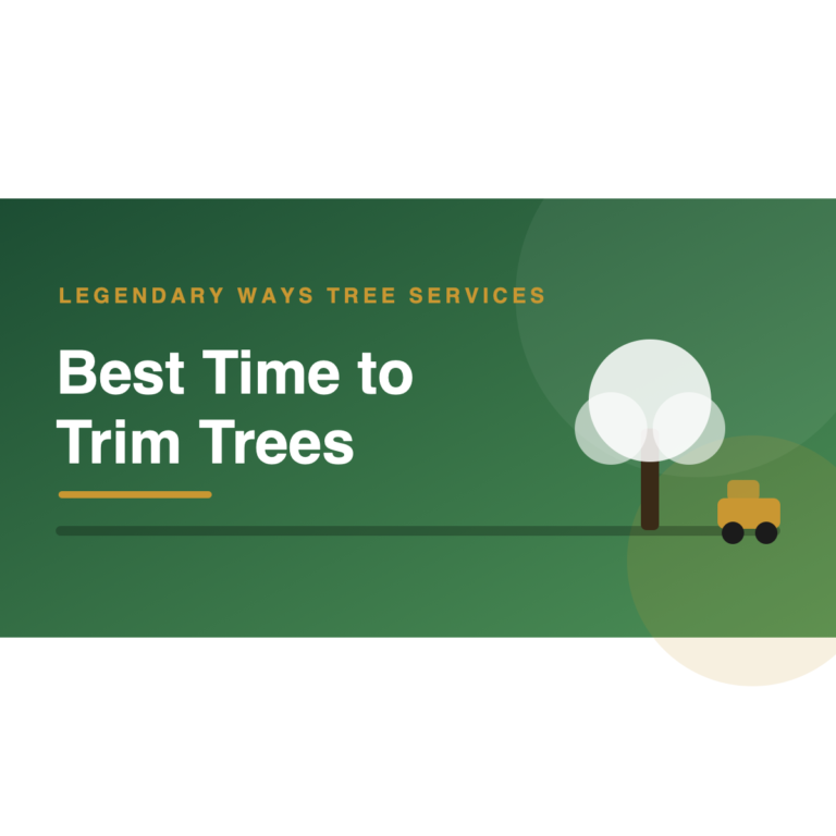 Best time to trim trees seasonal pruning calendar