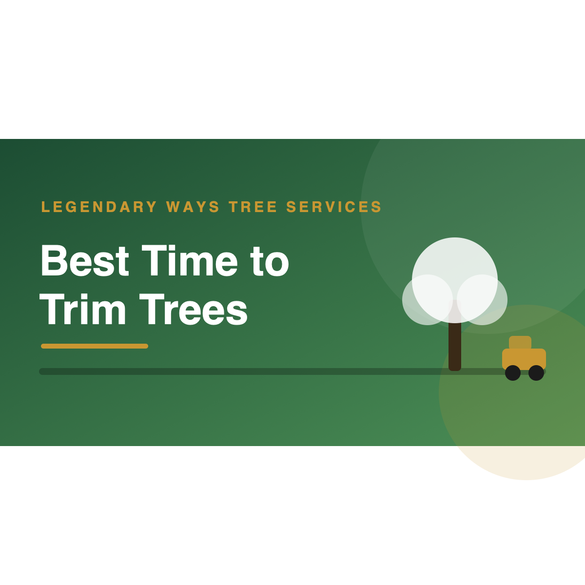 Best time to trim trees seasonal pruning calendar