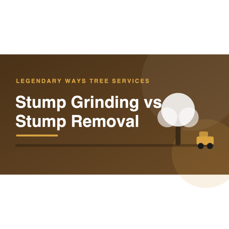Stump grinding vs stump removal comparison of both methods