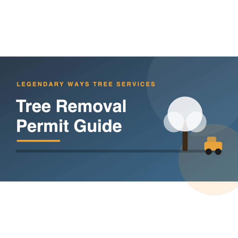 Tree removal permit application rules and requirements