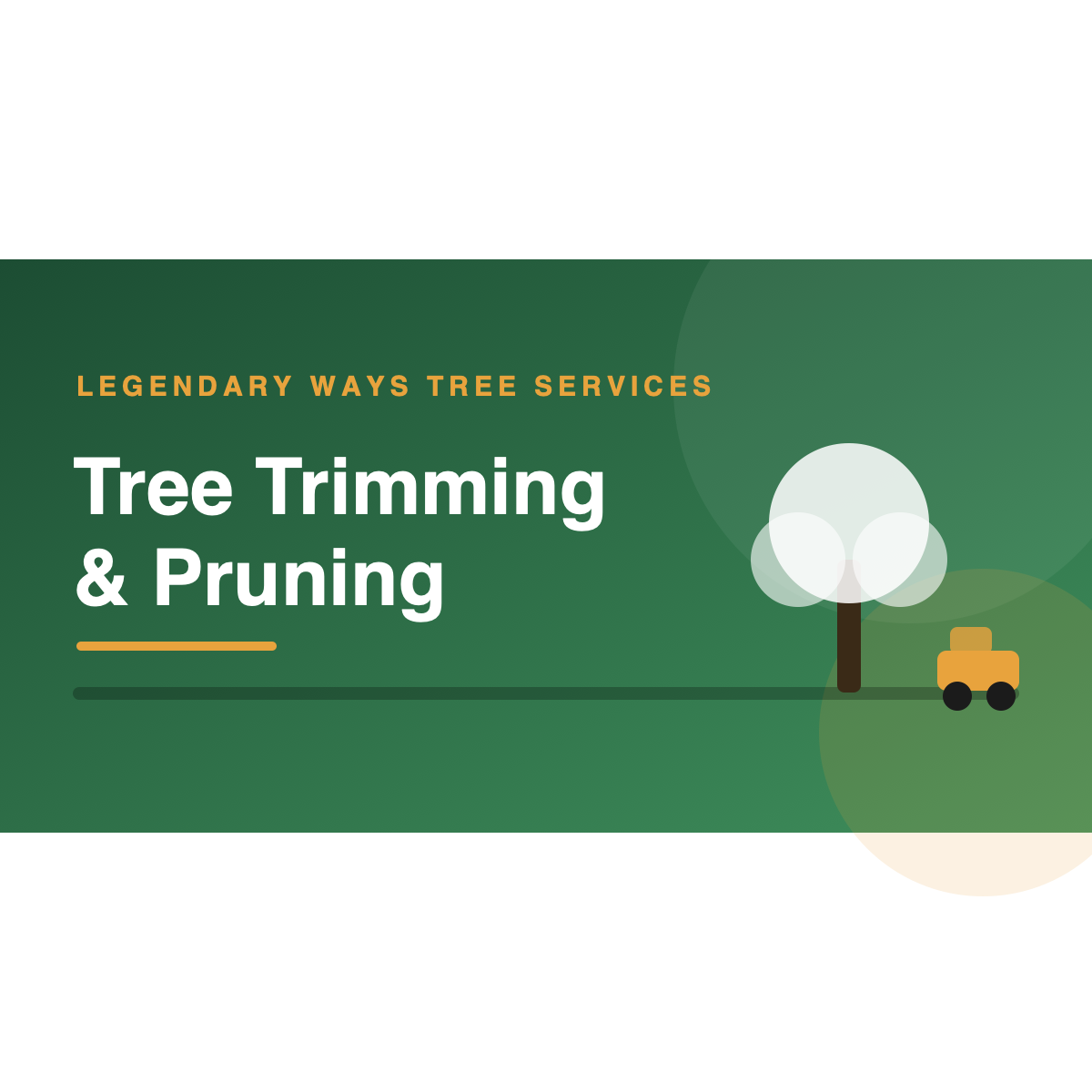 Certified arborist tree trimming and pruning a mature canopy